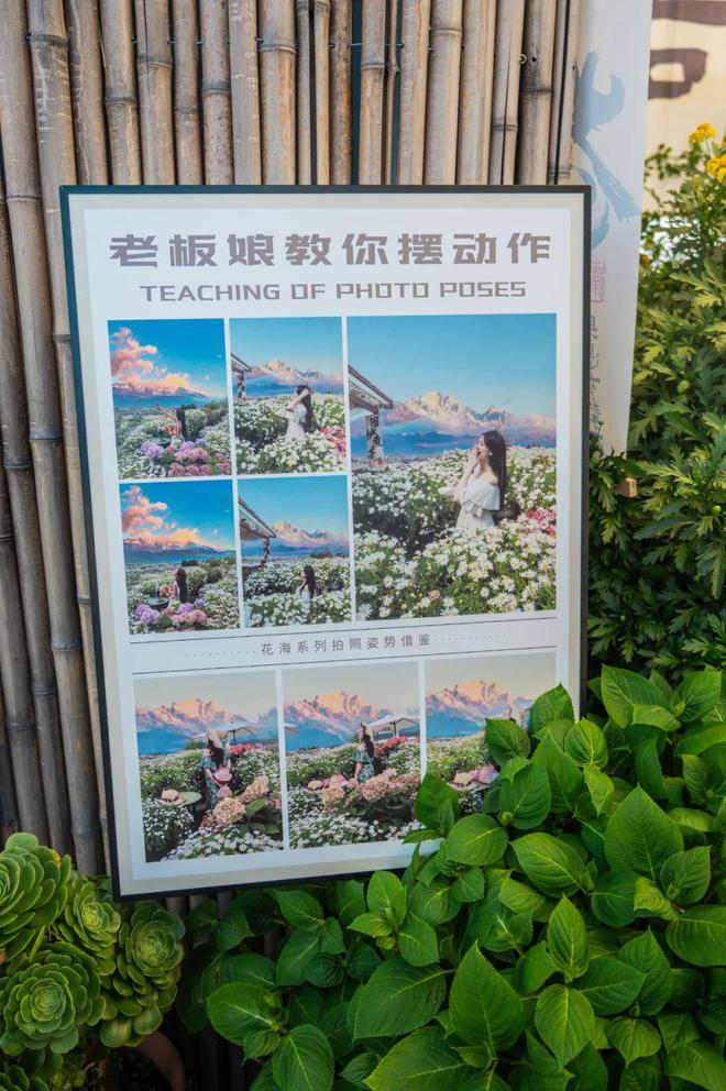 女嫁到丽江后竟拿屋顶来赚钱！尊龙凯时网【读本头条】重庆美(图9)
