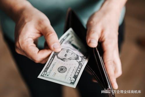 成功之道：案例解析与经验总结尊龙凯时app跨境电商独立站